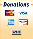 Payments through Paypal